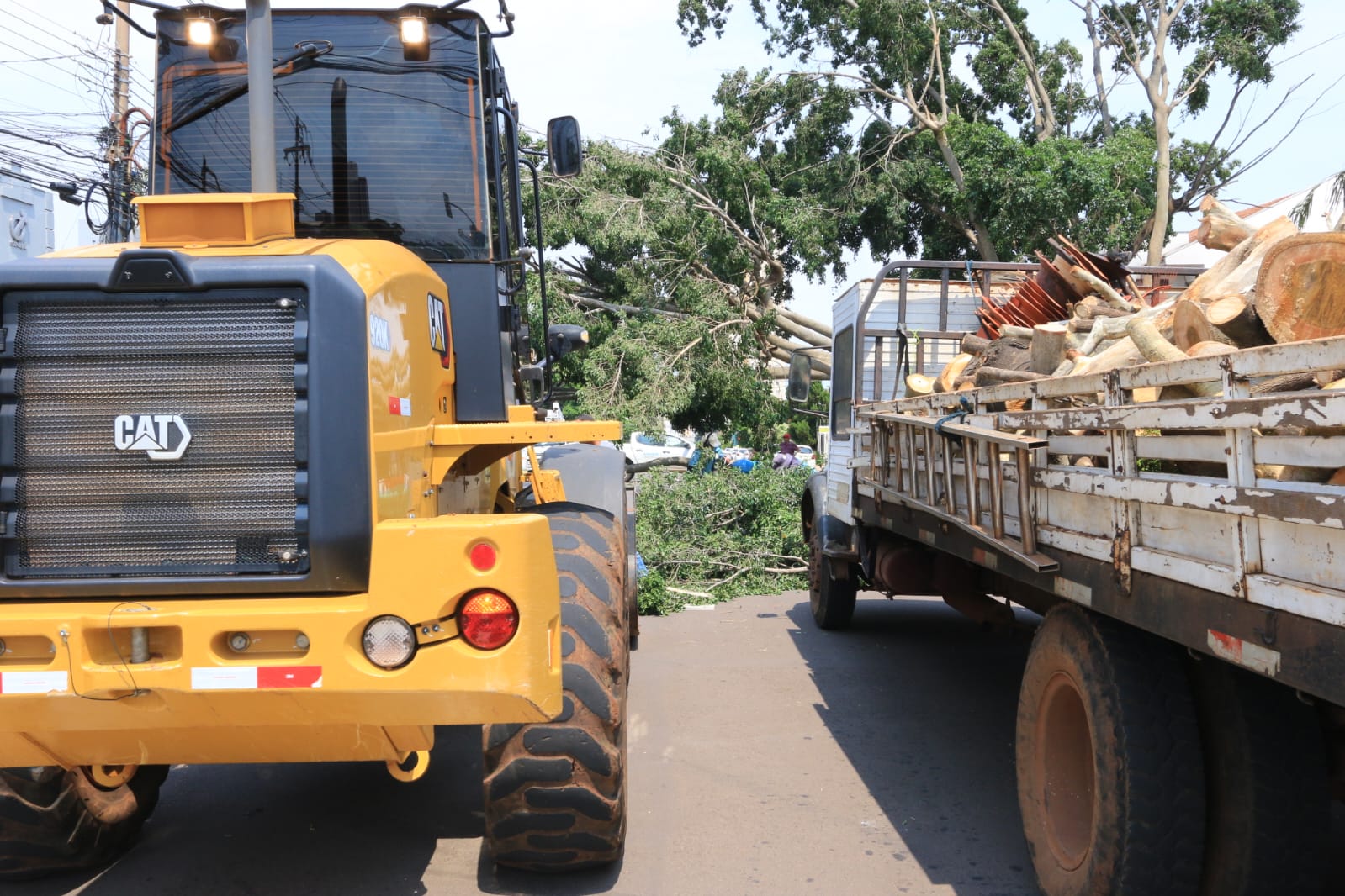 Prefeitura ainda recolhe árvores e galhos após  temporal na quinta