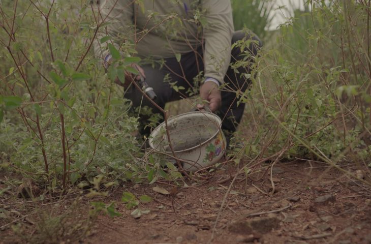 Mato Grosso do Sul é referência nacional no combate às arboviroses com inovação e tecnologia