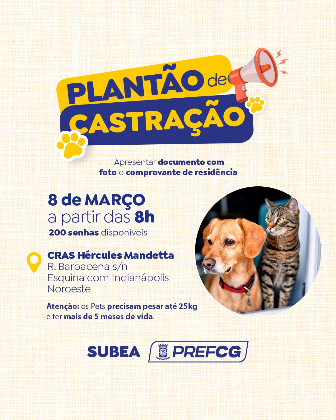 Prefeitura promove plantão de castração de cães e gatos no CRAS do Noroeste