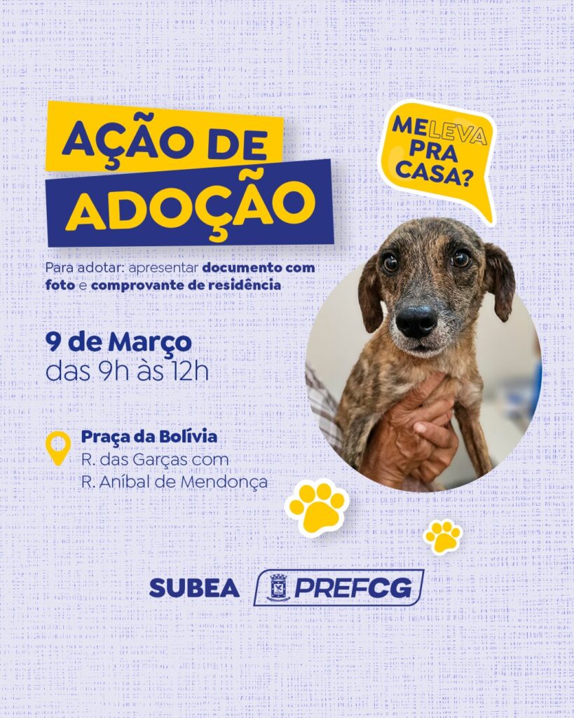 Feira de adoção de cães e gatos adultos acontece na Praça Bolívia na próxima semana