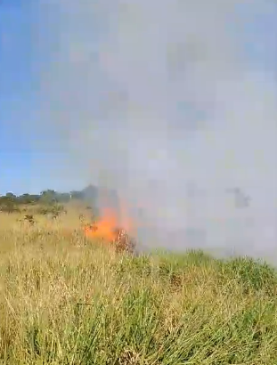 Incêndio em pasto próximo a BR-163 ameaça usina solar e fumaça invade rodovia