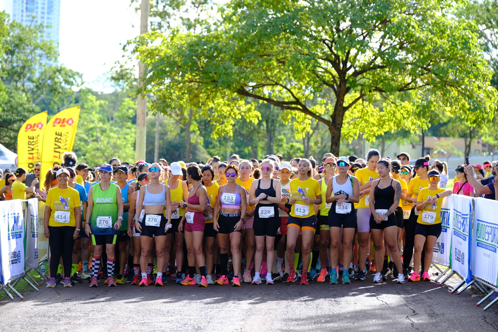 Festival de Verão 2025: Fundesporte promove reunião técnica com parceiros